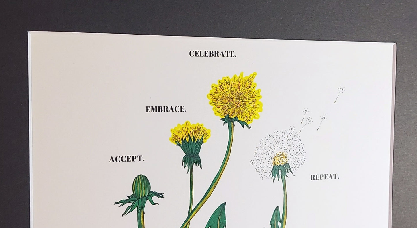 Accept Embrace Celebrate Repeat Dandelion Matted Print 8x10"